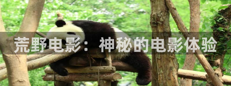 神马日韩伦理片