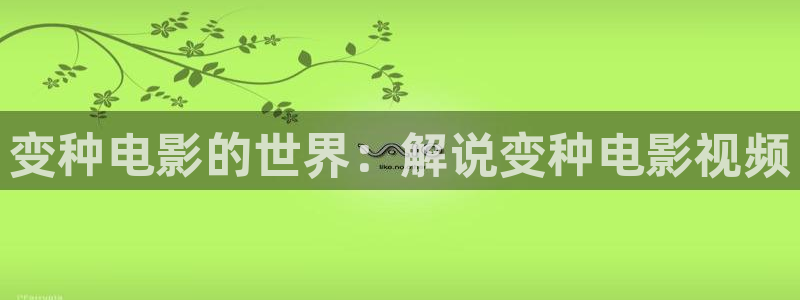 神马手机影院电视剧：变种电影的世界：解说变种电影视频
