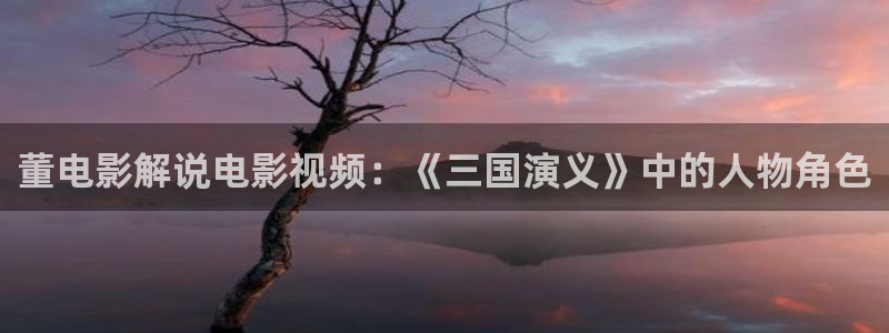9494神马影院：董电影解说电影视频：《三国演义》中的人物角色