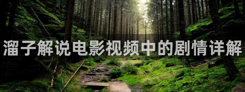 神马影院在线观看视频网站：溜子解说电影视频中的剧情详解