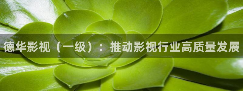 神马新影院：德华影视（一级）：推动影视行业高质量发展