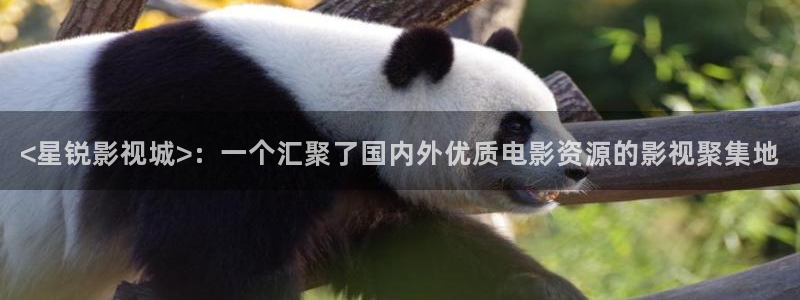 神马影院伦理免费观看：<星锐影视城>：一个汇聚了国内外优质电影资源的影视聚集地