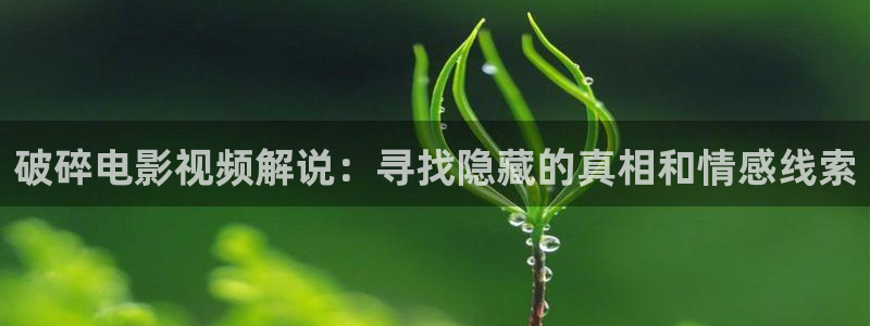 神马伦理手机在线观看：破碎电影视频解说：寻找隐藏的真相和情感线索