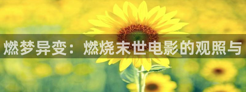 good电影韩国神马：燃梦异变：燃烧末世电影的观照与