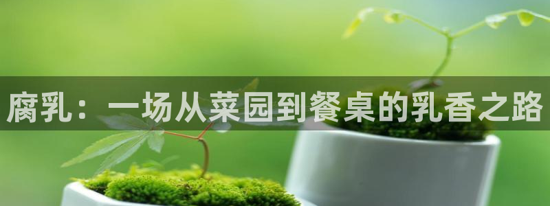 神马影视院线手机看电影：腐乳：一场从菜园到餐桌的乳香之路
