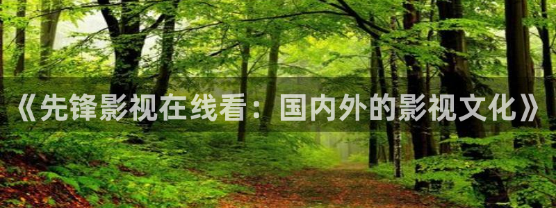 神马午夜毛片：《先锋影视在线看：国内外的影视文化》