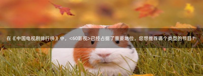 人间中毒神马影院：在《中国电视剧排行榜》中，<60影视>已经占据了重要地位，您想推荐哪个类型的节目？