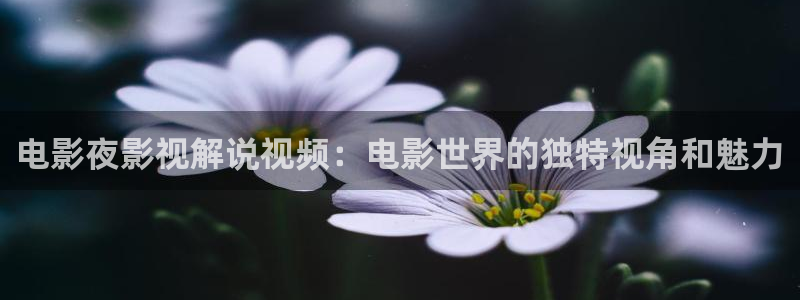 神马影院高清电影