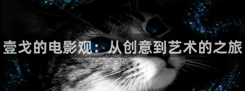 神马影院天堂网：壹戈的电影观：从创意到艺术的之旅